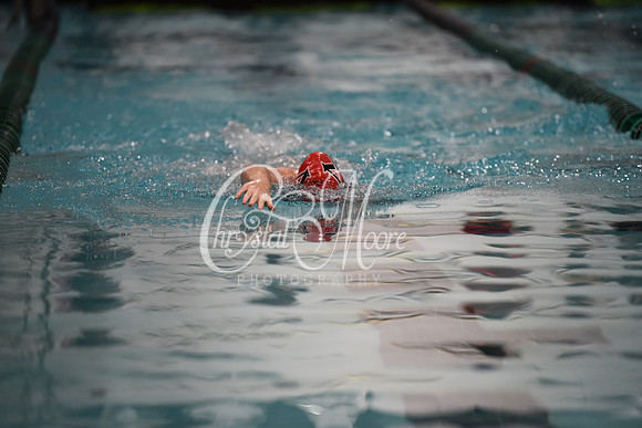 Allatoona Swim and Dive at Cobb Divisional Meet