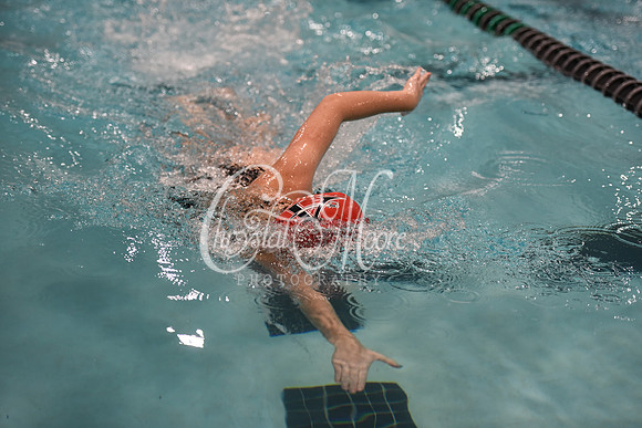 Allatoona Swim and Dive at Cobb Divisional Meet