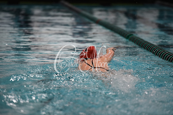 Allatoona Swim and Dive at Cobb Divisional Meet