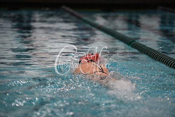 Allatoona Swim and Dive at Cobb Divisional Meet