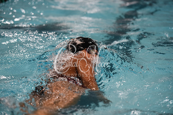 Allatoona Swim and Dive at Cobb Divisional Meet