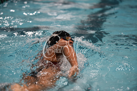 Allatoona Swim and Dive at Cobb Divisional Meet