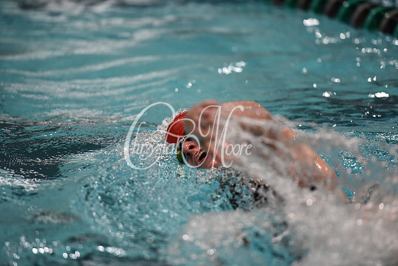Allatoona Swim and Dive at Cobb Divisional Meet