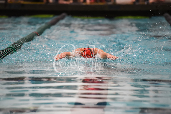Allatoona Swim and Dive at Cobb Divisional Meet
