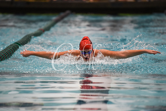Allatoona Swim and Dive at Cobb Divisional Meet