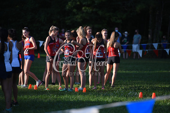 Allatoona during Cobb County Cross Country Championship