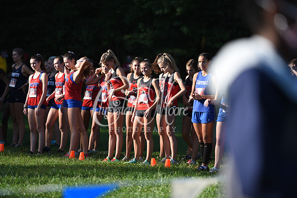 Allatoona during Cobb County Cross Country Championship