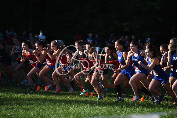 Allatoona during Cobb County Cross Country Championship