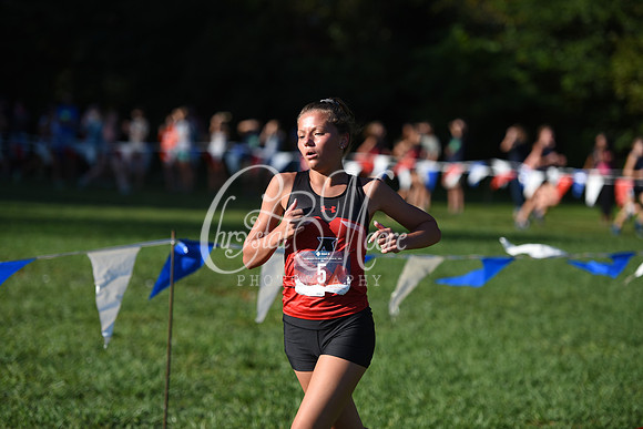 Allatoona during Cobb County Cross Country Championship