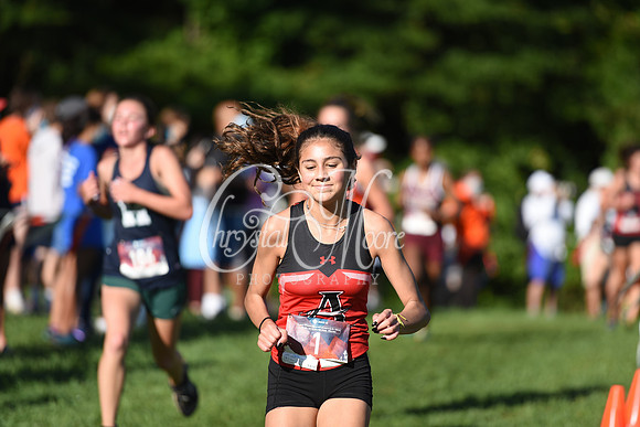 Allatoona during Cobb County Cross Country Championship