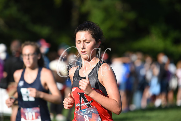 Allatoona during Cobb County Cross Country Championship
